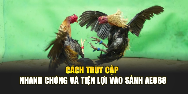 Cách truy cập nhanh chóng và tiện lợi vào sảnh nhà cái