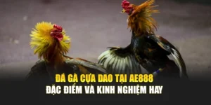 Đá Gà Cựa Dao